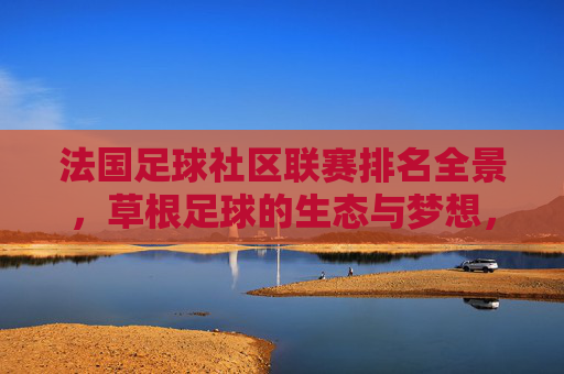 法国足球社区联赛排名全景，草根足球的生态与梦想，法国社区足球联赛全景，草根生态与梦想