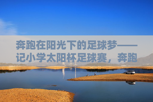 奔跑在阳光下的足球梦——记小学太阳杯足球赛，奔跑在阳光下的足球梦——小学太阳杯足球赛