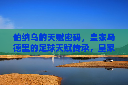 伯纳乌的天赋密码，皇家马德里的足球天赋传承，皇家马德里的伯纳乌密码，足球天赋传承
