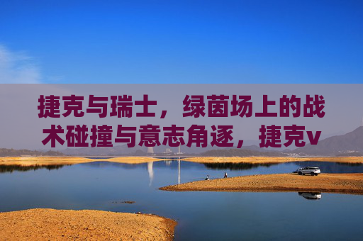 捷克与瑞士，绿茵场上的战术碰撞与意志角逐，捷克vs瑞士，战术与意志的绿茵对决