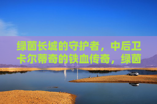 绿茵长城的守护者,中后卫卡尔蒂奇的铁血传奇,绿茵长城守护者,卡尔蒂奇铁血传奇 绿茵长城的守护者,中后卫卡尔蒂奇的铁血传奇,绿茵长城守护者,卡尔蒂奇铁血传奇