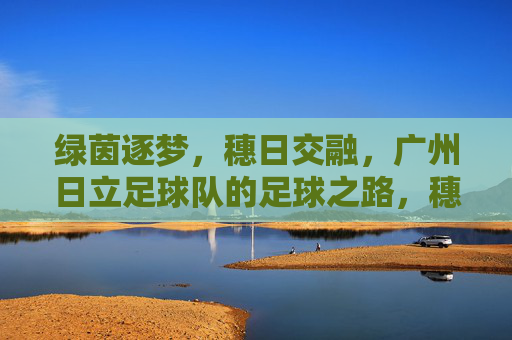 绿茵逐梦，穗日交融，广州日立足球队的足球之路，穗日逐梦，广州日立足球之路