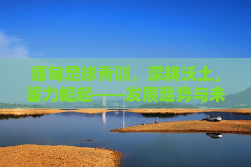 缅甸足球青训，深耕沃土，蓄力崛起——发展趋势与未来展望