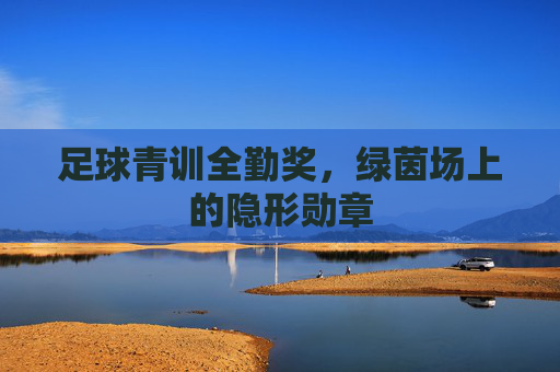 足球青训全勤奖，绿茵场上的隐形勋章