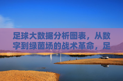 足球大数据分析图表,从数字到绿茵场的战术革命,足球大数据分析图表,从数字到绿茵场的战术革命 足球大数据分析图表,从数字到绿茵场的战术革命,足球大数据分析图表,从数字到绿茵场的战术革命