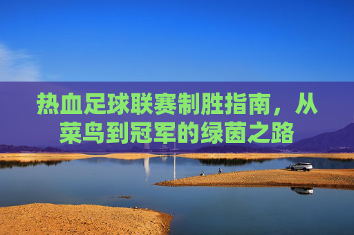 热血足球联赛制胜指南,从菜鸟到冠军的绿茵之路 热血足球联赛制胜指南,从菜鸟到冠军的绿茵之路