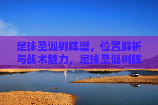 足球圣诞树阵型，位置解析与战术魅力，足球圣诞树阵型，位置解析与战术魅力