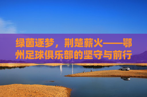 绿茵逐梦,荆楚薪火——鄂州足球俱乐部的坚守与前行 绿茵逐梦,荆楚薪火——鄂州足球俱乐部的坚守与前行