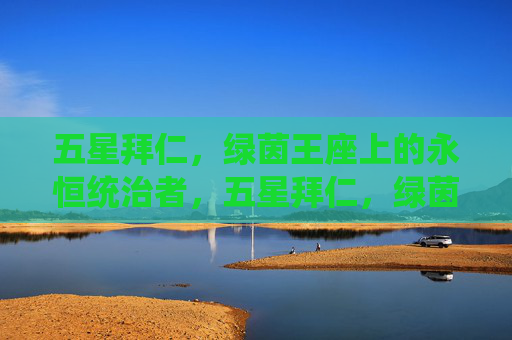 五星拜仁，绿茵王座上的永恒统治者，五星拜仁，绿茵王座的永恒统治者
