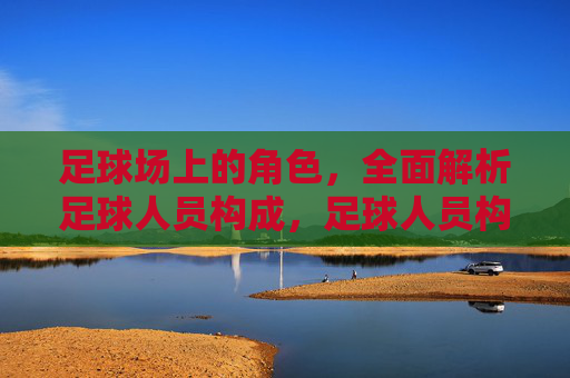 足球场上的角色，全面解析足球人员构成，足球人员构成，场上的角色全解析