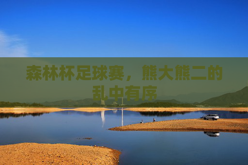森林杯足球赛，熊大熊二的乱中有序