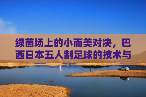 绿茵场上的小而美对决，巴西日本五人制足球的技术与哲学，绿茵小场对决，巴西日本五人制足球的技术与哲学