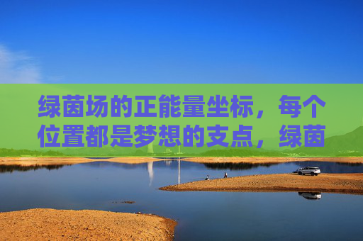 绿茵场的正能量坐标，每个位置都是梦想的支点，绿茵场位置坐标，梦想的正能量支点