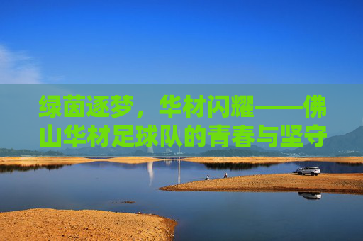 绿茵逐梦，华材闪耀——佛山华材足球队的青春与坚守