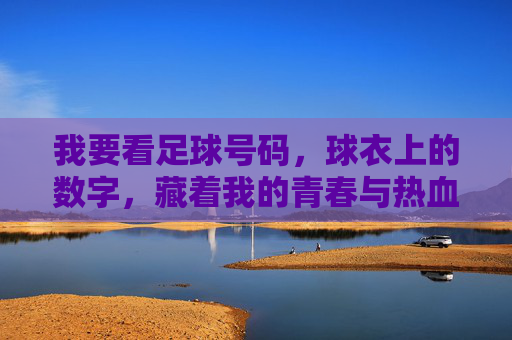 我要看足球号码，球衣上的数字，藏着我的青春与热血，足球号码，藏在数字里的青春与热血