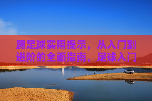 踢足球实用提示，从入门到进阶的全面指南，足球入门到进阶实用指南