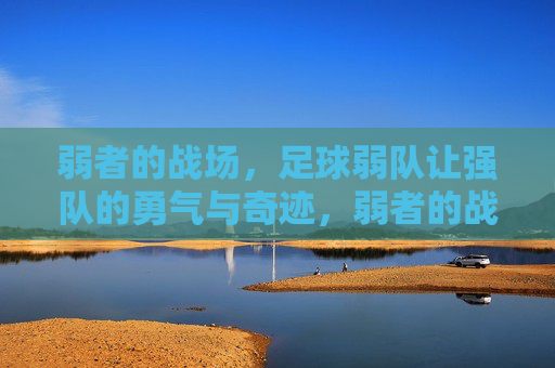 弱者的战场，足球弱队让强队的勇气与奇迹，弱者的战场，足球弱队的勇气与奇迹