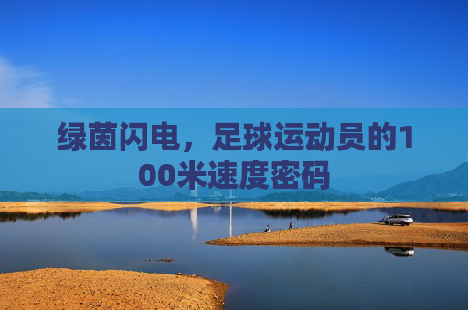 绿茵闪电，足球运动员的100米速度密码