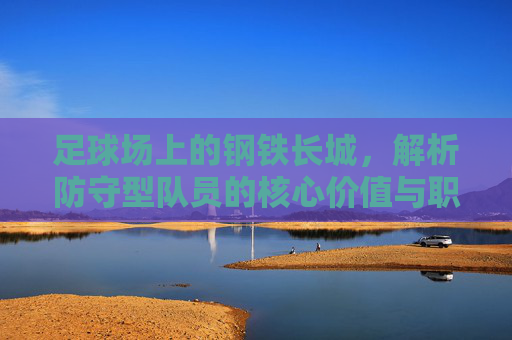 足球场上的钢铁长城，解析防守型队员的核心价值与职责，足球场上的钢铁长城，防守型队员的核心价值与职责