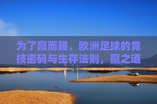 为了赢而踢,欧洲足球的竞技密码与生存法则,赢之道,欧洲足球的竞技密码与生存法则 为了赢而踢,欧洲足球的竞技密码与生存法则,赢之道,欧洲足球的竞技密码与生存法则