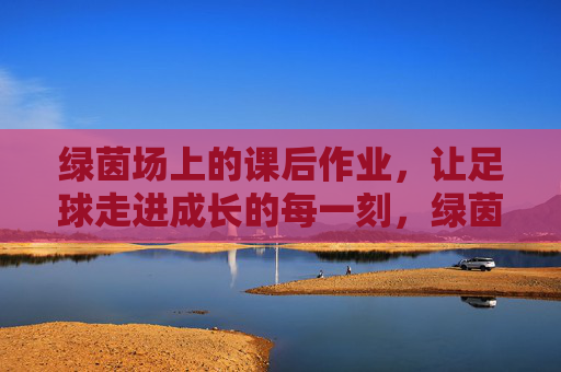 绿茵场上的课后作业，让足球走进成长的每一刻，绿茵课后作业，足球伴成长的每一刻