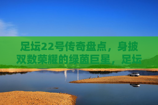 足坛22号传奇盘点，身披双数荣耀的绿茵巨星，足坛22号传奇，双数荣耀铸就的绿茵巨星