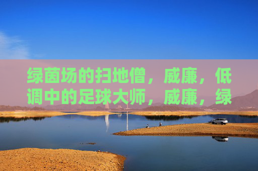 绿茵场的扫地僧，威廉，低调中的足球大师，威廉，绿茵场的低调扫地僧
