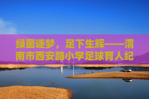 绿茵逐梦，足下生辉——渭南市西安路小学足球育人纪实
