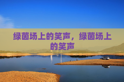 绿茵场上的笑声，绿茵场上的笑声