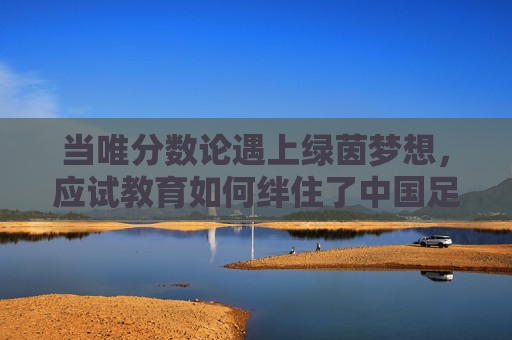 当唯分数论遇上绿茵梦想，应试教育如何绊住了中国足球的脚步？唯分数论绊住绿茵梦，应试教育如何困住中国足球？