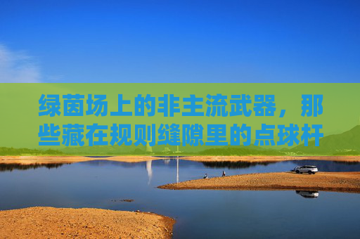 绿茵场上的非主流武器，那些藏在规则缝隙里的点球杆，绿茵场规则缝隙里的非主流武器，点球杆
