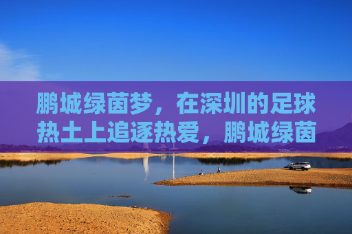 鹏城绿茵梦,在深圳的足球热土上追逐热爱,鹏城绿茵梦,足球热土追逐热爱 鹏城绿茵梦,在深圳的足球热土上追逐热爱,鹏城绿茵梦,足球热土追逐热爱
