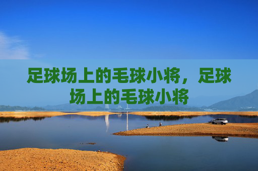 足球场上的毛球小将，足球场上的毛球小将