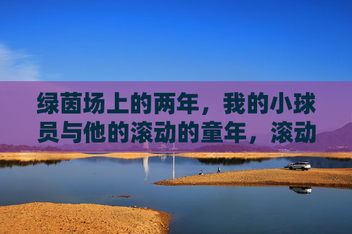 绿茵场上的两年，我的小球员与他的滚动的童年，滚动的童年，小球员的绿茵场两年