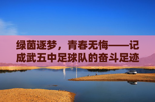 绿茵逐梦，青春无悔——记成武五中足球队的奋斗足迹