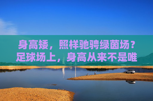 身高矮,照样驰骋绿茵场?足球场上,身高从来不是唯一答案,驰骋绿茵场,身高从来不是唯一答案 身高矮,照样驰骋绿茵场?足球场上,身高从来不是唯一答案,驰骋绿茵场,身高从来不是唯一答案