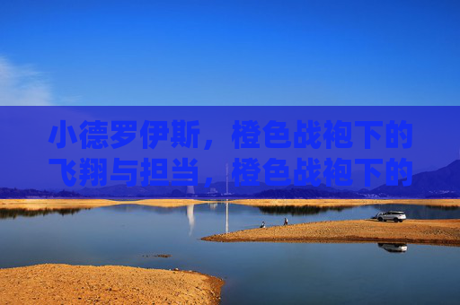 小德罗伊斯,橙色战袍下的飞翔与担当,橙色战袍下的飞翔与担当 小德罗伊斯,橙色战袍下的飞翔与担当,橙色战袍下的飞翔与担当