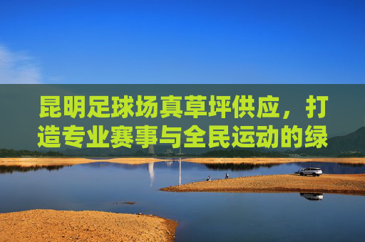 昆明足球场真草坪供应，打造专业赛事与全民运动的绿色基石，昆明足球场真草坪供应，专业赛事与全民运动的绿色基石