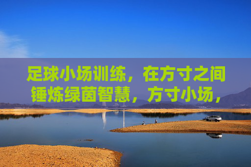 足球小场训练，在方寸之间锤炼绿茵智慧，方寸小场，锤炼绿茵智慧