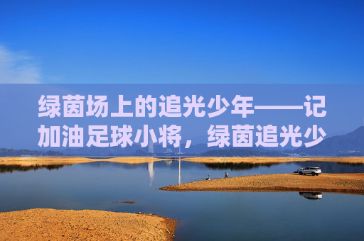 绿茵场上的追光少年——记加油足球小将,绿茵追光少年,加油足球小将 绿茵场上的追光少年——记加油足球小将,绿茵追光少年,加油足球小将