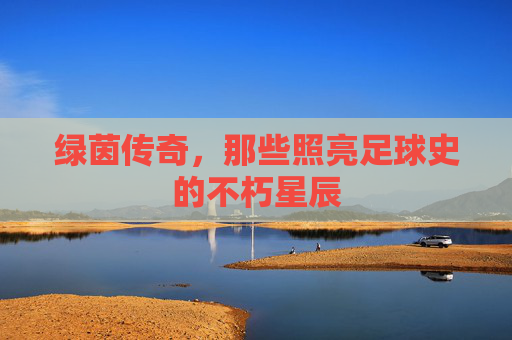 绿茵传奇,那些照亮足球史的不朽星辰 绿茵传奇,那些照亮足球史的不朽星辰