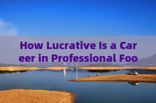 How Lucrative Is a Career in Professional Football?职业足球生涯的盈利能力 How Lucrative Is a Career in Professional Football?职业足球生涯的盈利能力