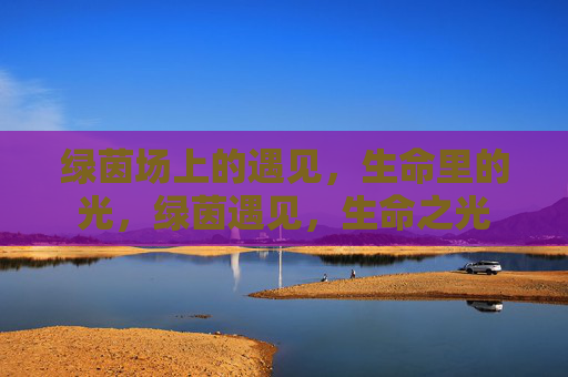 绿茵场上的遇见,生命里的光,绿茵遇见,生命之光 绿茵场上的遇见,生命里的光,绿茵遇见,生命之光