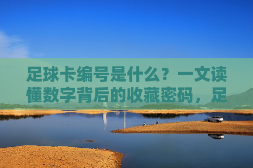 足球卡编号是什么？一文读懂数字背后的收藏密码，足球卡编号，数字背后的收藏密码