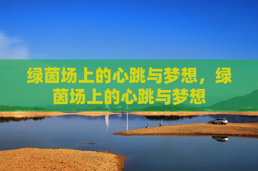 绿茵场上的心跳与梦想，绿茵场上的心跳与梦想