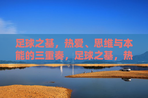 足球之基,热爱、思维与本能的三重奏,足球之基,热爱、思维与本能的三重奏 足球之基,热爱、思维与本能的三重奏,足球之基,热爱、思维与本能的三重奏