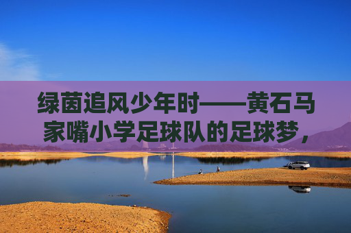 绿茵追风少年时——黄石马家嘴小学足球队的足球梦，绿茵追风少年梦，黄石马家嘴小学足球队的足球征途