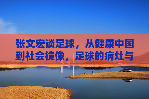 张文宏谈足球，从健康中国到社会镜像，足球的病灶与良方，张文宏谈足球，健康中国与社会镜像下的病灶与良方