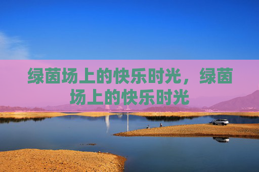 绿茵场上的快乐时光，绿茵场上的快乐时光
