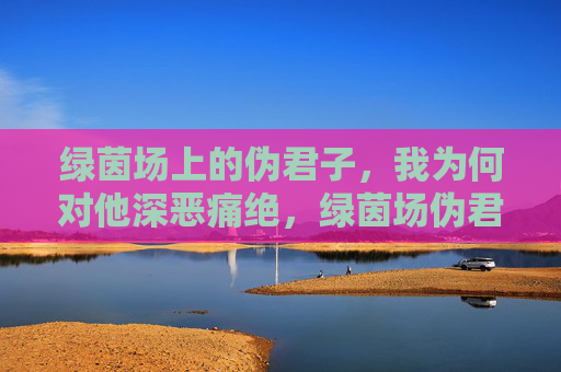 绿茵场上的伪君子，我为何对他深恶痛绝，绿茵场伪君子，我为何深恶痛绝